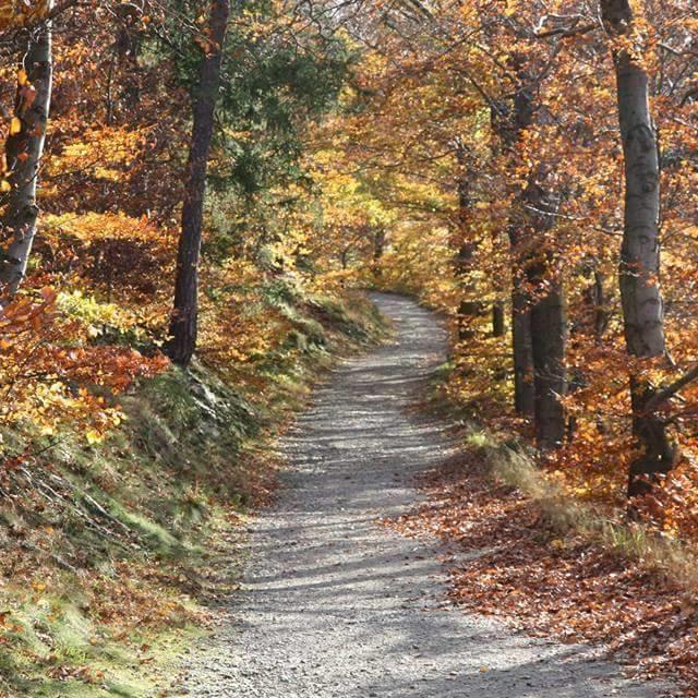 Ferienwohnung Aue Bad Lauterberg Buitenkant foto
